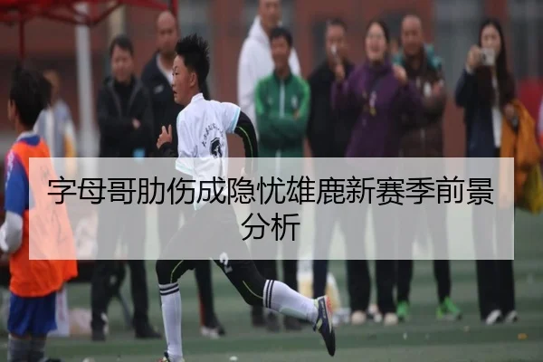 字母哥肋伤成隐忧雄鹿新赛季前景分析